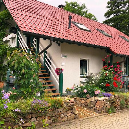 Ferienwohnung An Der Foersterei Ohrenfeld Zewnętrze zdjęcie